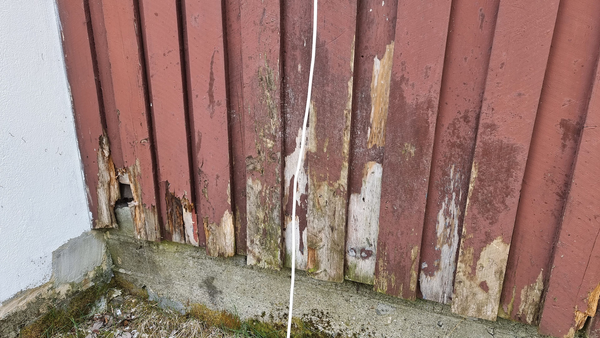 Cladding