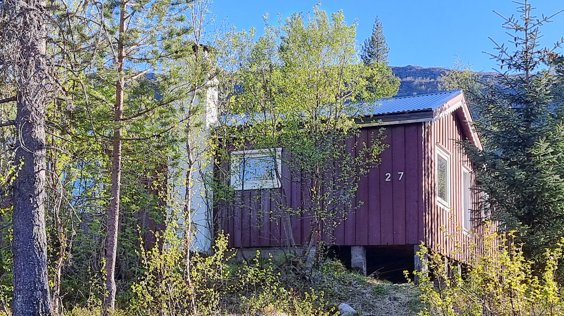 Cladding