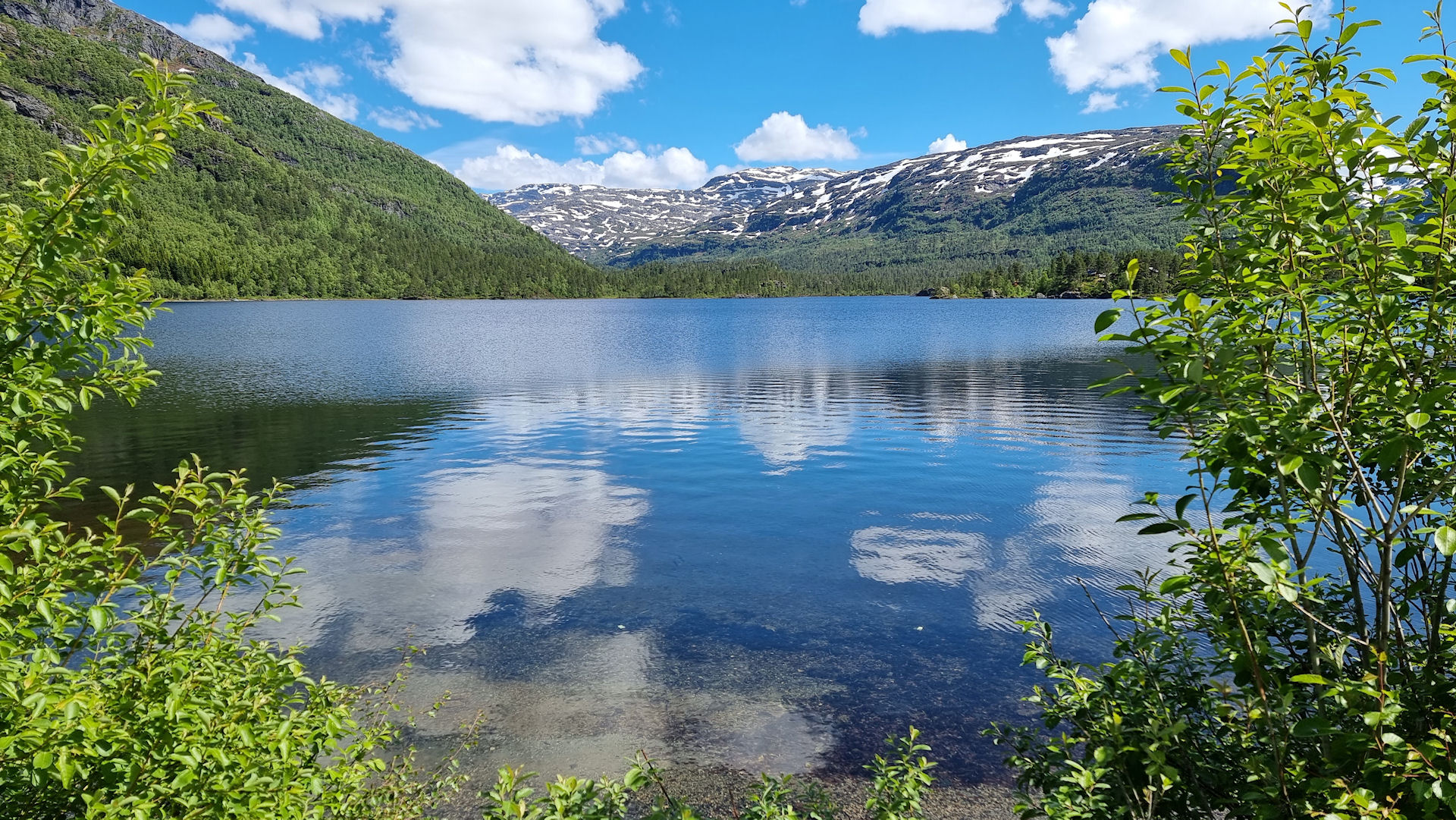 Loyningsvatnet