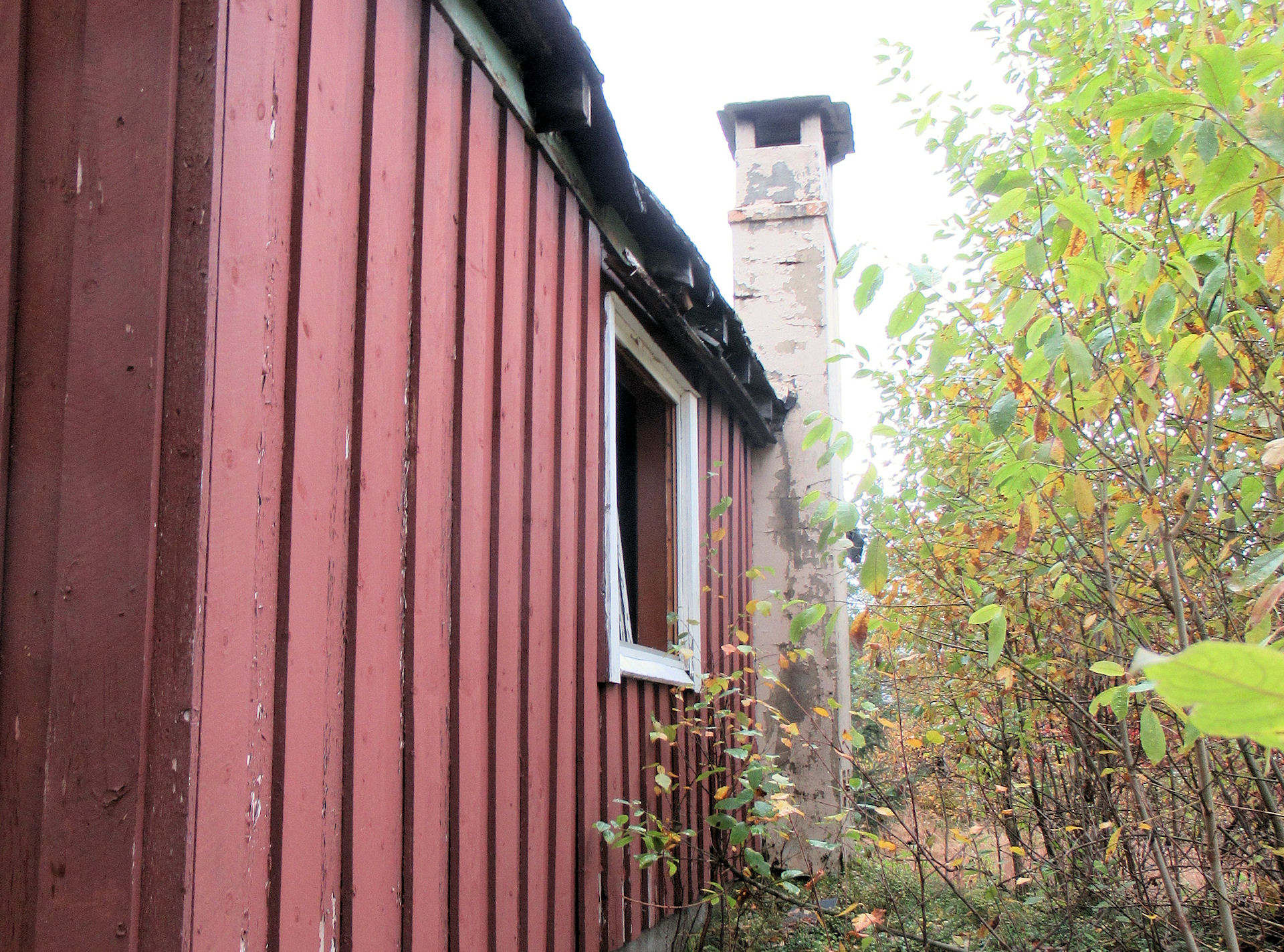 East side of the cabin