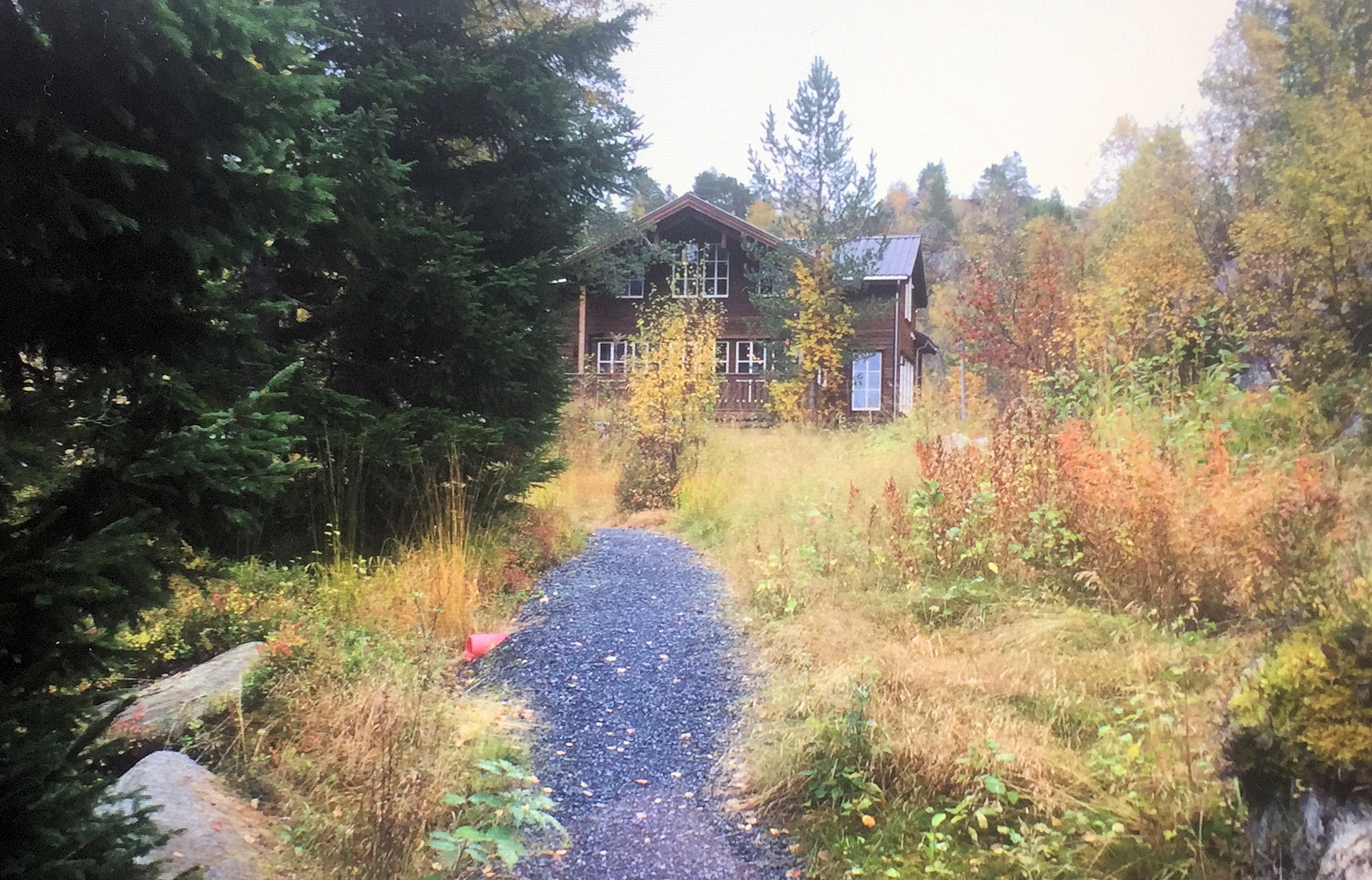 Path to cabin
