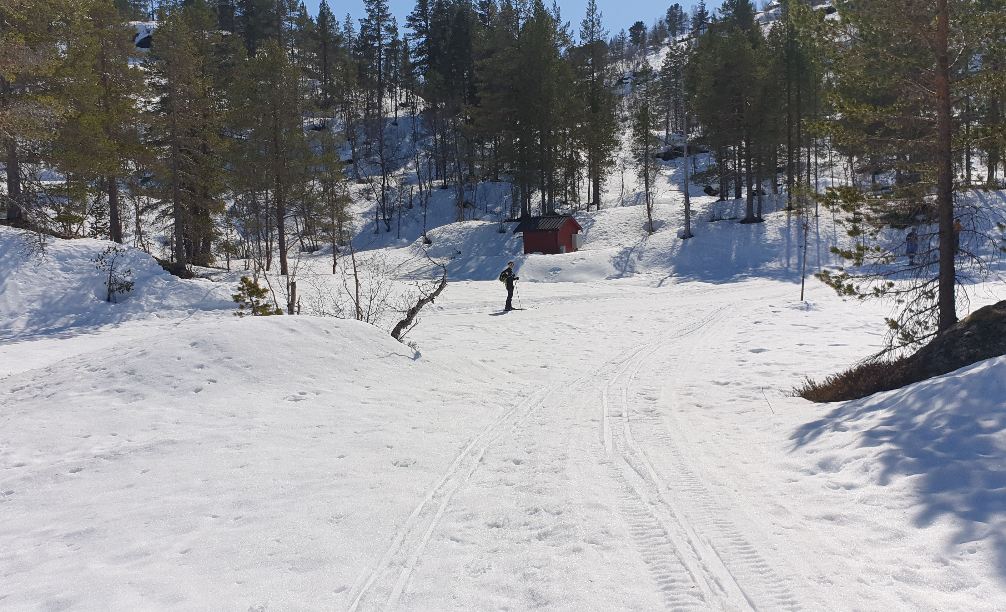 Seljestad