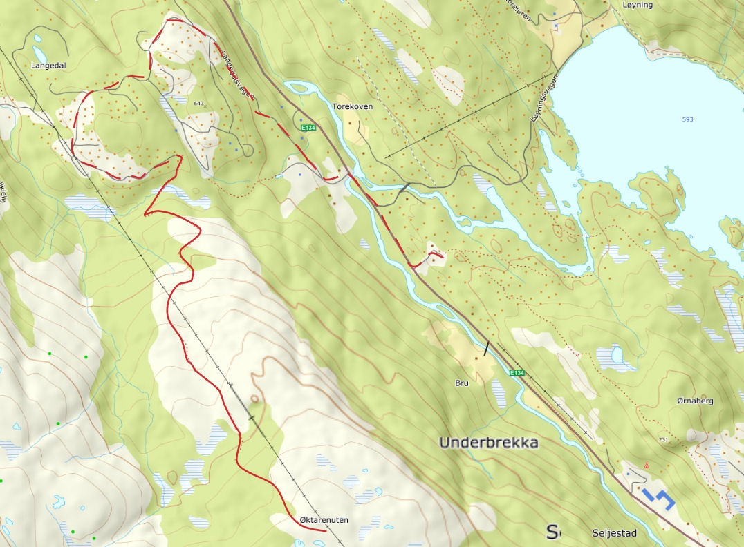 Øktarenuten
